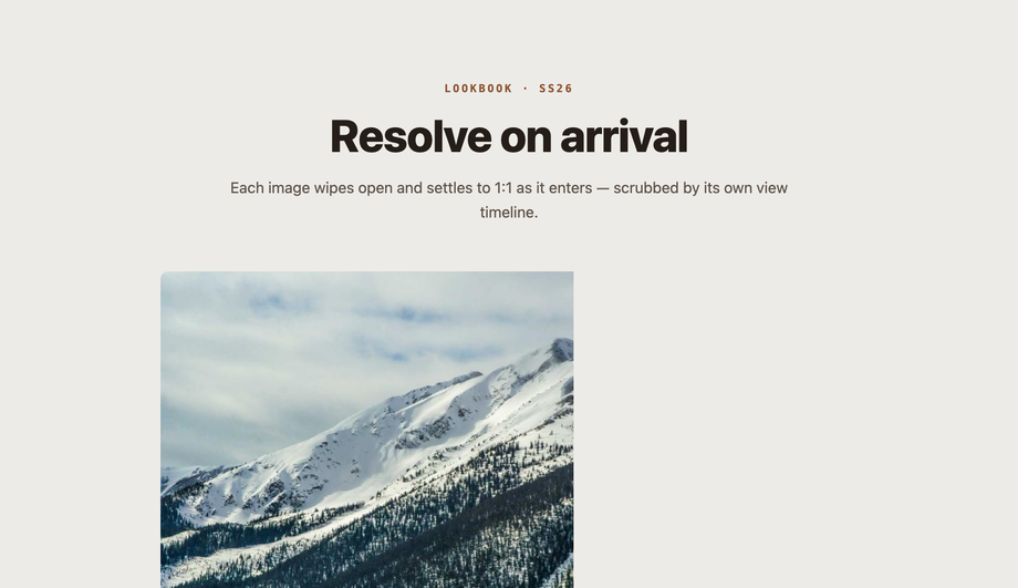 Image Zoom / Scale and Wipe Reveal — preview