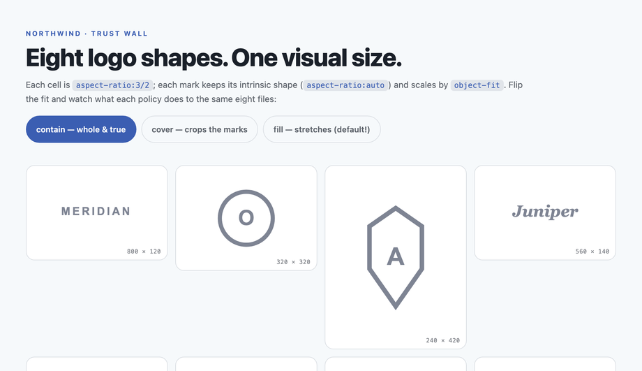 CSS Aspect Ratio Auto Object Fit Contain — preview