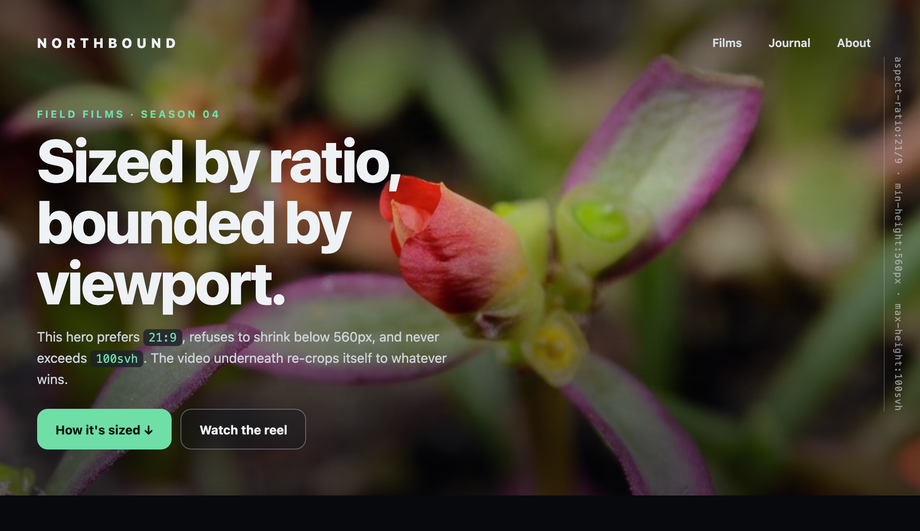 CSS Aspect Ratio Full Screen Hero Video — preview