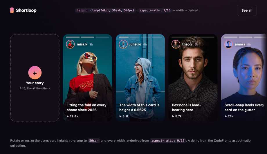 CSS Aspect Ratio Vertical Story Card 9 16 — preview
