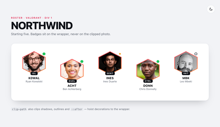 CSS Hexagon Avatar with clip-path — preview