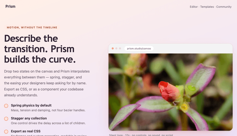 Feature Section with Autoplay Product Video — preview