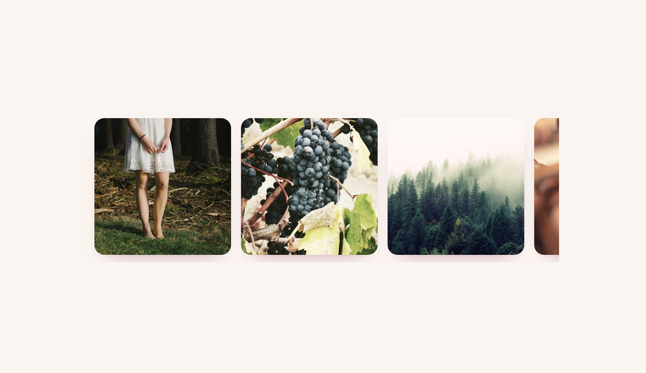 Zoom-on-Hover Gallery — preview