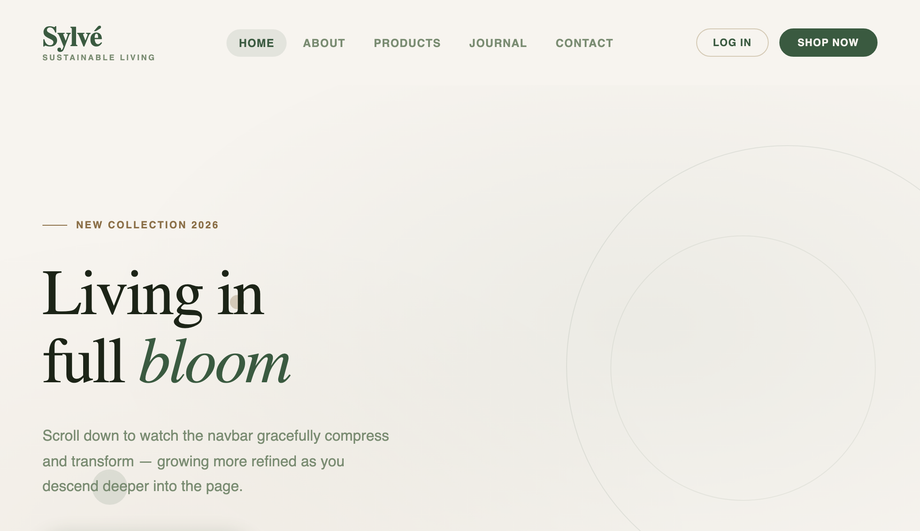 Sticky CSS Navbar on Scroll — preview