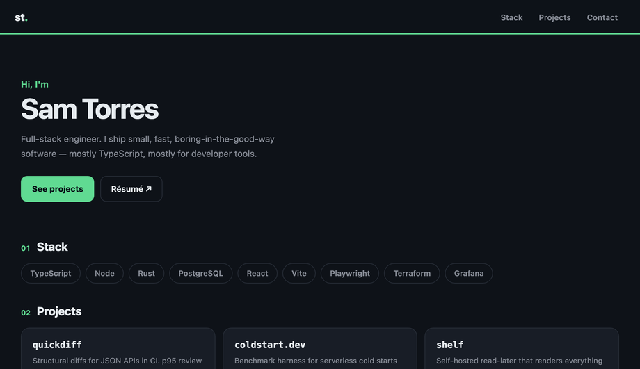 Developer Portfolio Layout HTML CSS Single Page — preview