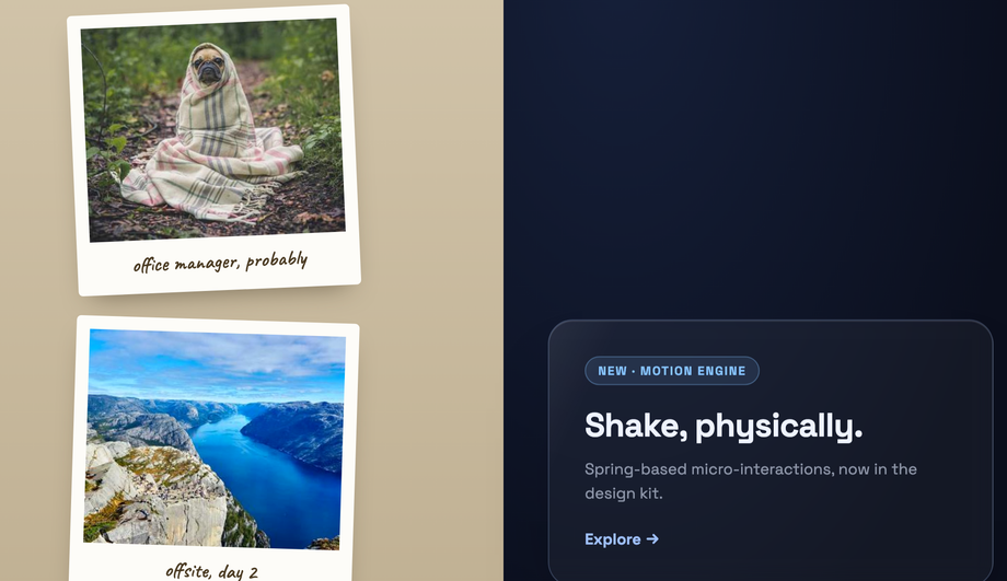 CSS Card Shake Effect on Hover — preview