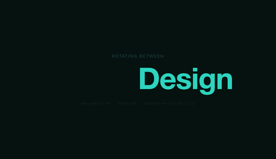 CSS 3D Text Flip Animation — preview
