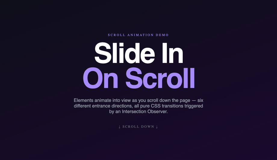 Slide-In Animation on Scroll — preview